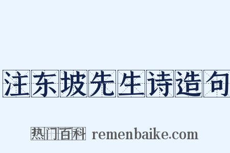 注东坡先生诗造句是什么意思的图片